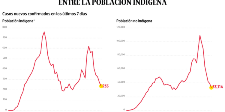Bajo observación | Casos nuevos se reducen entre la población indígena - Noticias, Deportes, Gossip, Columnas