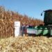 Bimbo impulsa la agricultura regenerativa - Noticias, Deportes, Gossip, Columnas