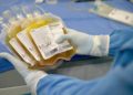 Cofepris debe informar sobre autorizaciones para el uso de plasma de recuperados Covid-19 - Noticias, Deportes, Gossip, Columnas