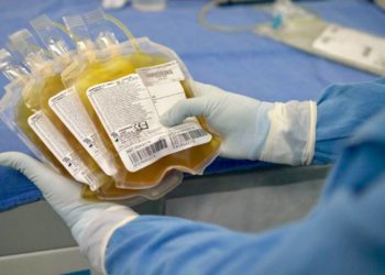 Cofepris debe informar sobre autorizaciones para el uso de plasma de recuperados Covid-19 - Noticias, Deportes, Gossip, Columnas