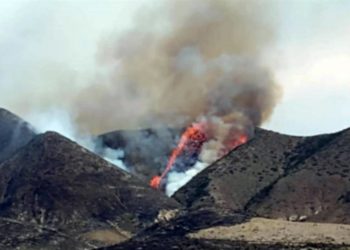 Combaten tres incendios al sur de Nuevo León - Noticias, Deportes, Gossip, Columnas