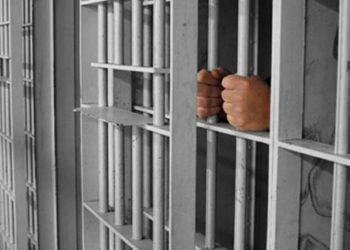 Condenan con ocho años de prisión a dos traficantes de indocumentados - Noticias, Deportes, Gossip, Columnas