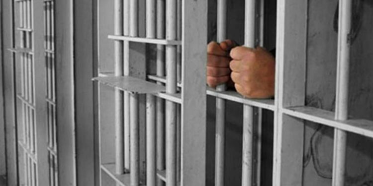 Condenan con ocho años de prisión a dos traficantes de indocumentados - Noticias, Deportes, Gossip, Columnas