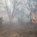 Controlan 98% incendio en reserva ecológica de Guanajuato - Noticias, Deportes, Gossip, Columnas