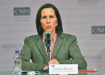 Crítica Lourdes Melgar avance de la reforma eléctrica - Noticias, Deportes, Gossip, Columnas