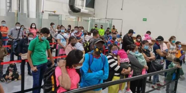 Detienen a 95 migrantes en el aeropuerto de Monterrey - Noticias, Deportes, Gossip, Columnas