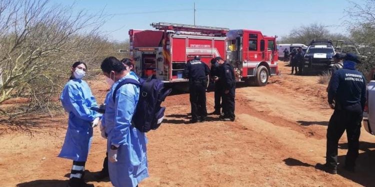 Fallece subsecretario de Economía de Sonora tras desplome de avioneta - Noticias, Deportes, Gossip, Columnas