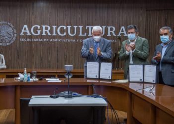 Financiamiento beneficiará a comunidades de cinco estados por donde correrá el Tren Maya - Noticias, Deportes, Gossip, Columnas