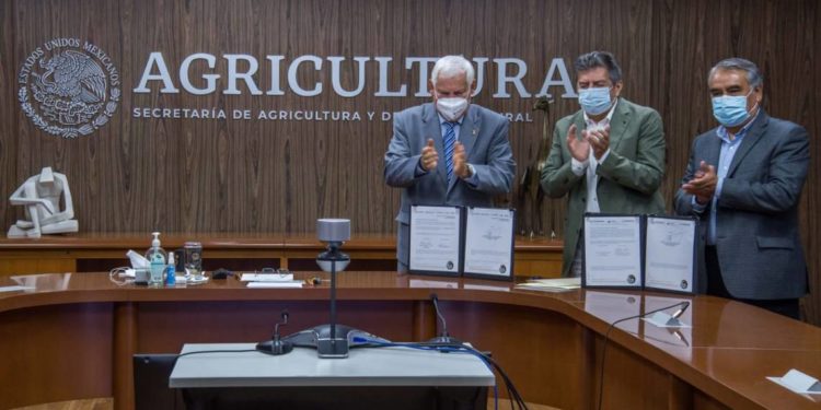 Financiamiento beneficiará a comunidades de cinco estados por donde correrá el Tren Maya - Noticias, Deportes, Gossip, Columnas