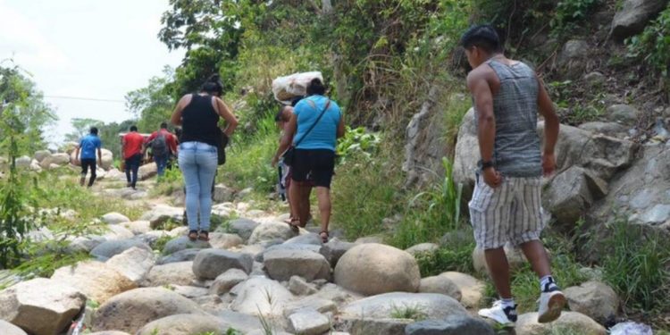 Flujo de migrantes en frontera sur, sin cambios ante nula vigilancia - Noticias, Deportes, Gossip, Columnas