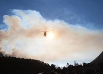 Gobierno de Coahuila emite declaratoria de emergencia por incendios en Arteaga - Noticias, Deportes, Gossip, Columnas