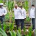 Gobierno llevará programa de Sembrando Vida al Triángulo Dorado del narco - Noticias, Deportes, Gossip, Columnas