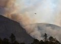 Identifican a responsables del incendio en Sierra de Arteaga - Noticias, Deportes, Gossip, Columnas