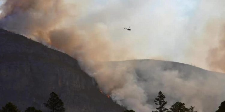 Identifican a responsables del incendio en Sierra de Arteaga - Noticias, Deportes, Gossip, Columnas