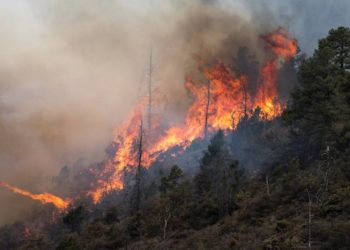 Incendio en Sierra de Arteaga acumula 12 mil hectáreas afectadas - Noticias, Deportes, Gossip, Columnas