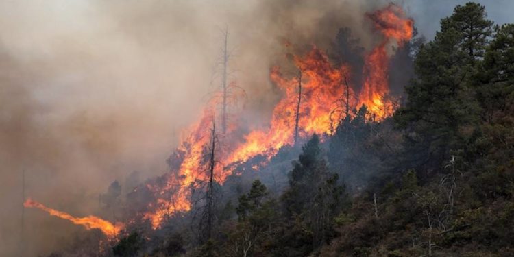 Incendio en Sierra de Arteaga acumula 12 mil hectáreas afectadas - Noticias, Deportes, Gossip, Columnas