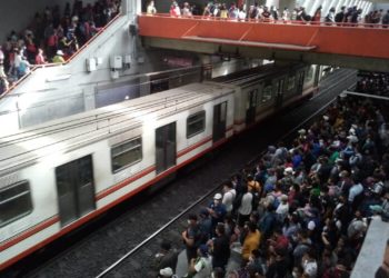 México no está fuera de peligro por Covid 19, advierte la OMS - Noticias, Deportes, Gossip, Columnas