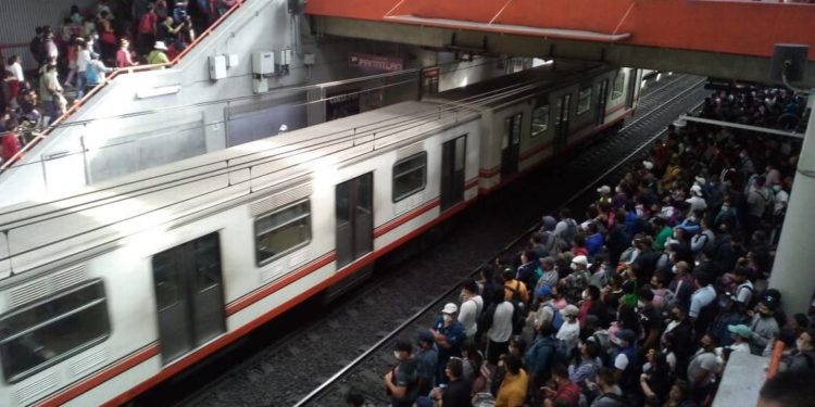 México no está fuera de peligro por Covid 19, advierte la OMS - Noticias, Deportes, Gossip, Columnas