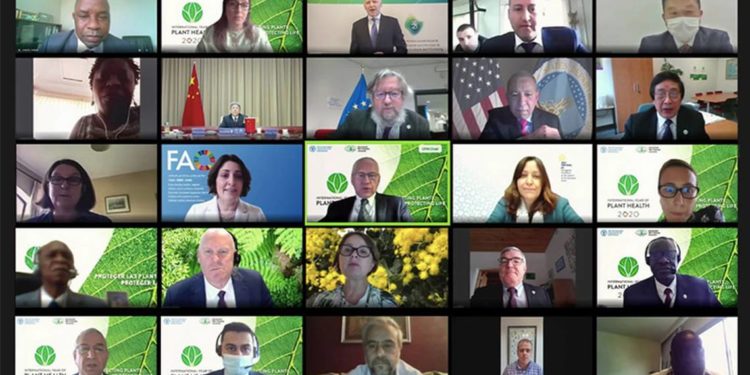 México promueve la sanidad vegetal para garantizar seguridad alimentaria - Noticias, Deportes, Gossip, Columnas