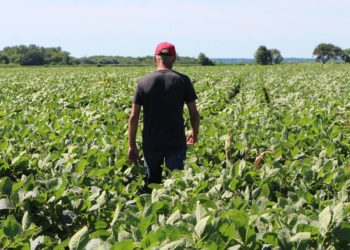 Organismos agrícolas de EU señalan afectaciones con México por políticas públicas y comerciales - Noticias, Deportes, Gossip, Columnas