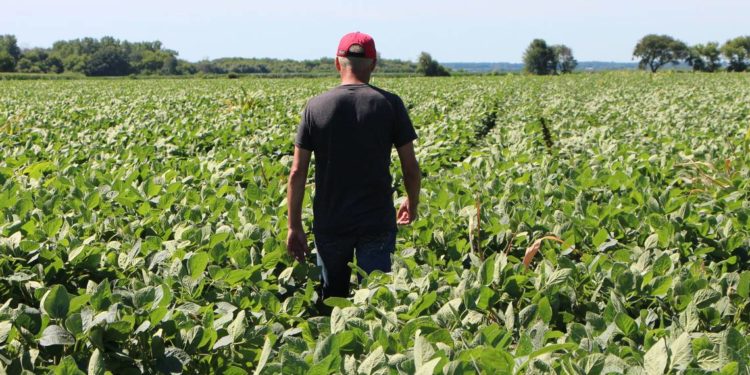 Organismos agrícolas de EU señalan afectaciones con México por políticas públicas y comerciales - Noticias, Deportes, Gossip, Columnas