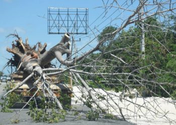 Otorgan tres suspensiones definitivas más contra Tren Maya - Noticias, Deportes, Gossip, Columnas