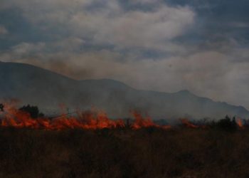 Podrían acreditarle responsabilidades a la CFE por incendio en la Sierra de Zapalinamé - Noticias, Deportes, Gossip, Columnas