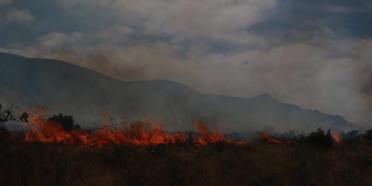 Podrían acreditarle responsabilidades a la CFE por incendio en la Sierra de Zapalinamé - Noticias, Deportes, Gossip, Columnas