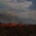 Podrían acreditarle responsabilidades a la CFE por incendio en la Sierra de Zapalinamé - Noticias, Deportes, Gossip, Columnas