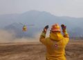 Por fuertes vientos, suspenden combate al fuego en Sierra de Arteaga - Noticias, Deportes, Gossip, Columnas