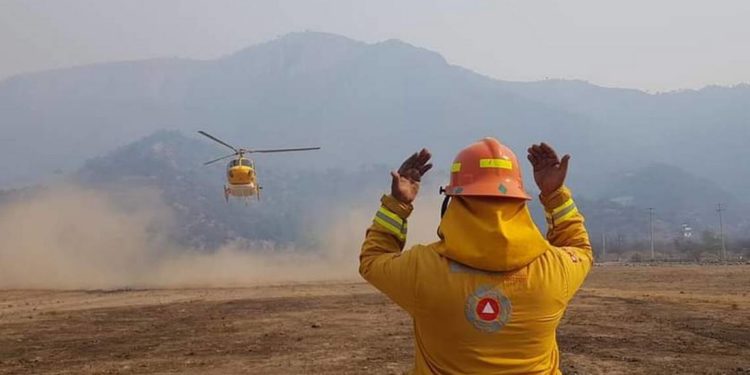 Por fuertes vientos, suspenden combate al fuego en Sierra de Arteaga - Noticias, Deportes, Gossip, Columnas