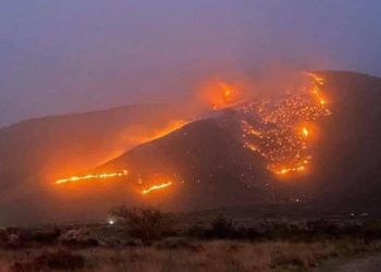 Replantean estrategia para el combate del incendio en la Sierra de Arteaga - Noticias, Deportes, Gossip, Columnas