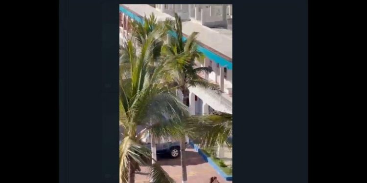 Reportan enfrentamiento entre civiles armados y Guardia Nacional en Guayabitos, Nayarit - Noticias, Deportes, Gossip, Columnas