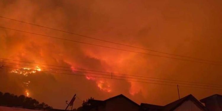 Se ha controlado 70% de incendio en Nuevo Léón: PC - Noticias, Deportes, Gossip, Columnas