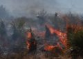 Se registran dos incendios más en Coahuila - Noticias, Deportes, Gossip, Columnas