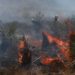 Se registran dos incendios más en Coahuila - Noticias, Deportes, Gossip, Columnas