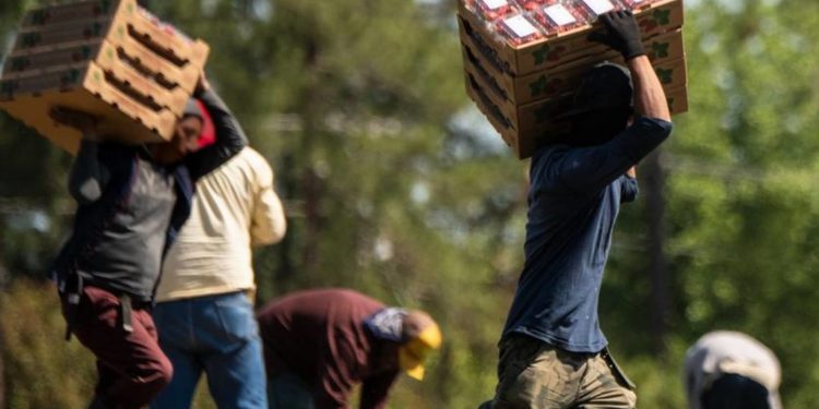 "Un día sin mexicanos": convocan a paro nacional en EU el 30 de abril - Noticias, Deportes, Gossip, Columnas