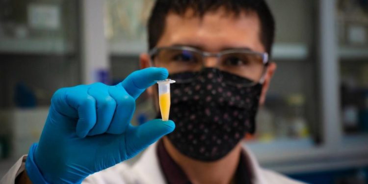 Vacunatón: ¿Por qué en Querétaro buscan fondos para la vacuna anticovid? - Noticias, Deportes, Gossip, Columnas