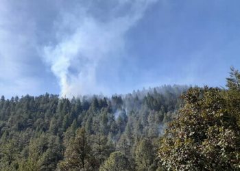 A ocho días de inicio, incendio forestal en sierra de Chihuahua se reaviva - El Sol de México