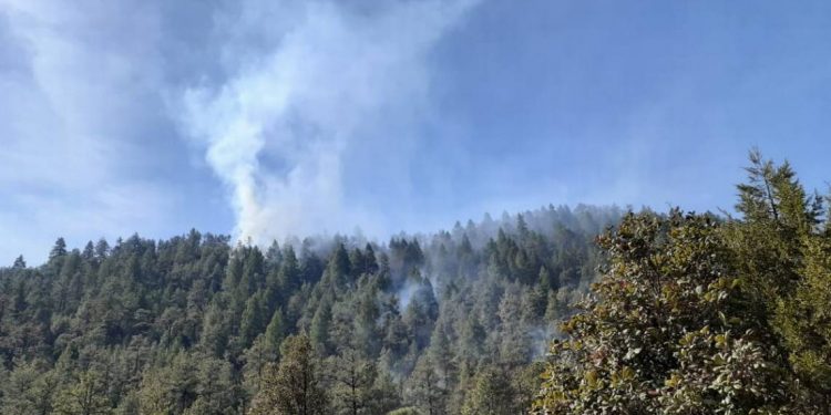 A ocho días de inicio, incendio forestal en sierra de Chihuahua se reaviva - El Sol de México