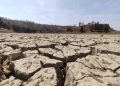 Activan plan emergente contra sequía en Guanajuato - El Sol de México