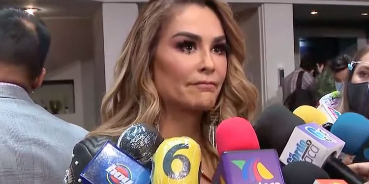 Ninel Conde defendía a Larry Ramos