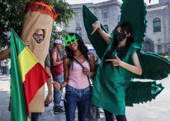 Buscan prórroga para regular marihuana - El Sol de México