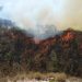 Casi 300 brigadistas y cinco helicópteros combaten incendio en el Bosque de la Primavera de Jalisco
