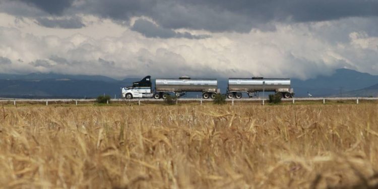Cebaderos del país negocian precio del grano con cerveceros - El Sol de México