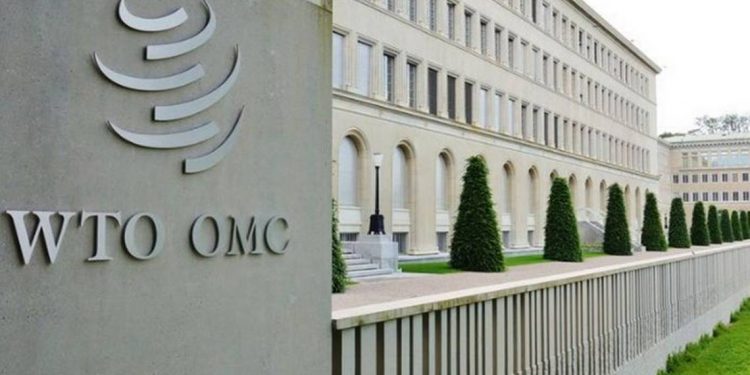 Comercio mundial crecerá un 8% en 2021: OMC