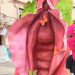 Con vulva gigante, se manifiestan contra la violencia de género en SLP - El Sol de México