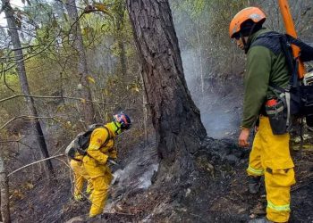 Controlan incendio en Sierra de Santiago y solicitan declaración de emergencia