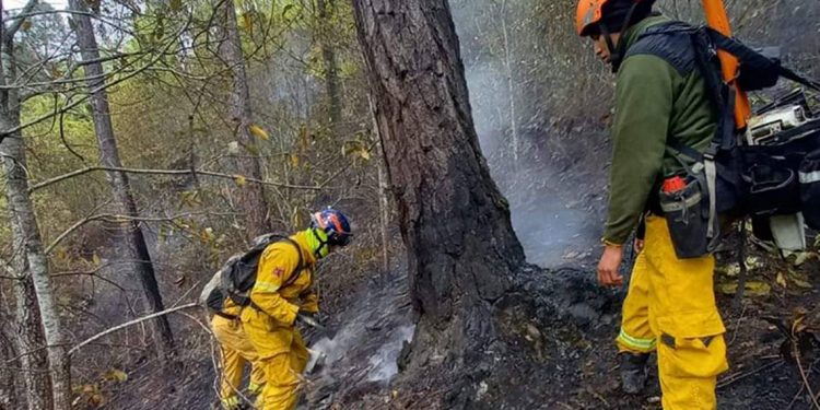 Controlan incendio en Sierra de Santiago y solicitan declaración de emergencia
