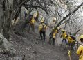 Controlan incendio en Tepoztlán al cien por ciento - El Sol de México